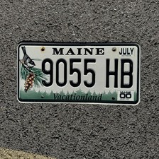 1999 maine license for sale  USA