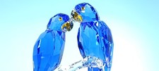 Boxed swarovski scs for sale  UK
