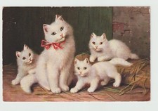 Cats kittens postcard d'occasion  Expédié en Belgium
