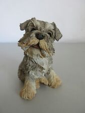 Country artists schnauzer for sale  CREWE