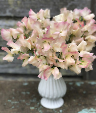 Mollie rilstone sweet for sale  FERRYHILL