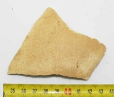 Fragment coquille œuf d'occasion  France