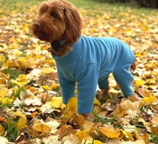 Warm four legged for sale  NORTHAMPTON