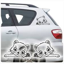Autoaufkleber katze kätzchen gebraucht kaufen  Darmstadt