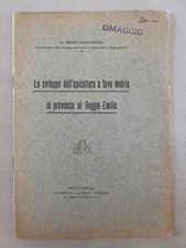 Sviluppo dell apicoltura usato  Asti