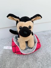 Generation german shepherd for sale  NORWICH