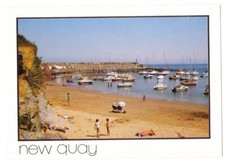 Welsh vintage postcard for sale  STOKE-ON-TRENT