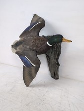 Loon lake decoy for sale  Shawano