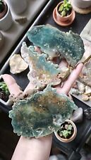 Unique grape agate for sale  GLOSSOP