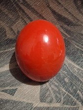 Red painted ostrich for sale  IVYBRIDGE