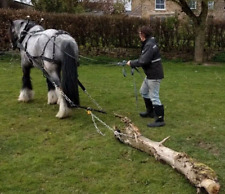 Horse working harness for sale  ALFRETON