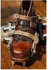 Ww2 10th mountain for sale  Dexter