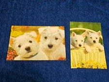 Hunde postkarten westie gebraucht kaufen  Hamburg