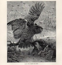 1894 piccola stampa usato  Pescara