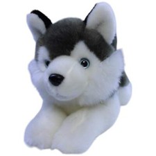 Süßer husky superweich gebraucht kaufen  Neusäß