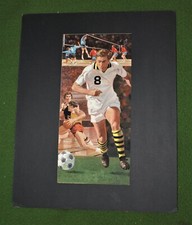 Rare 1980 olympics for sale  USA