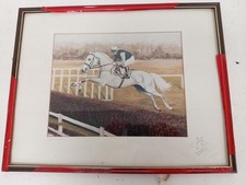 Desert orchid auld for sale  RUGBY