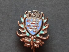 Spilla bronzo originale usato  Spedire a Italy
