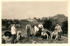 Foto, Wehrmacht, CZE 1938: Bäuerin & Soldaten b./d. Kartoffelernte (MB)21360 comprar usado  Enviando para Brazil