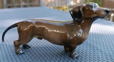 Dackel dachshund rosenthal gebraucht kaufen  Pyrbaum