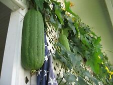 Big organic 2024 for sale  Auburndale