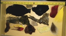 Lot fly tying for sale  Connersville