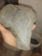 Mammoth tooth compressed for sale  Elliston