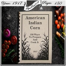 1917 american indian for sale  Danville
