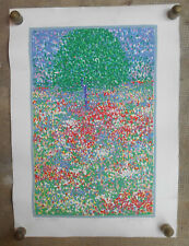Ettore fico serigrafia usato  Cirie