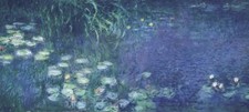 Water lilies morning for sale  Manahawkin