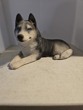 chow husky puppies for sale  Carroll