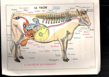 Lot affiche scolaire d'occasion  La Séguinière