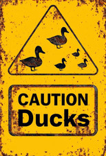 Caution ducks metal for sale  DUNSTABLE