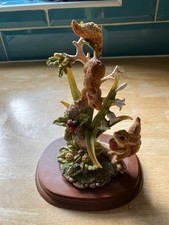 Leonardo red squirrels for sale  KETTERING