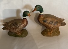 2 female ducks for sale 2 female ducks for sale Phoenix