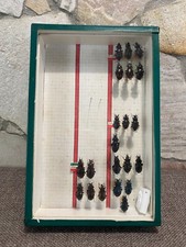 Cabinet curiosité boite d'occasion Cabinet curiosité boite d'occasion  Melun