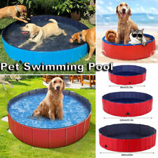 Large pet dog for sale  TAMWORTH