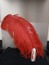 Plume autruche 60 d'occasion  Bastia-