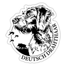 Deutsch drahthaar hund gebraucht kaufen  Leipzig