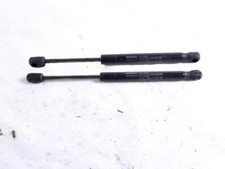 30784935 coppia pistoncini usato  Rovigo