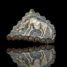 Ancient near eastern for sale  DIDCOT