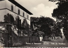 Cartolina marina pietrasanta usato  Castelnuovo Rangone