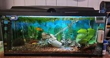 Acquario completo 80l usato  Villarbasse