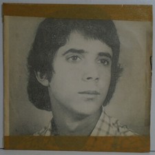 IVO ROSA AURI-VERDE NESTA HORA PORCA TORCE RABO BRAZIL 1975 GARAGE FREAKBEAT 7", usado comprar usado  Brasil 