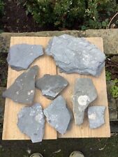 Large selection rare for sale  KNARESBOROUGH