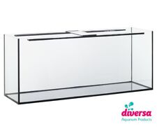 Diversa aquarium fish for sale  HEMEL HEMPSTEAD