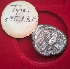 Usado, Phoenicia, Pneu 393-385 aC Ar Shekel Coruja, Hippocamp 1918 proveniência 13,06g 21mm comprar usado  Enviando para Brazil