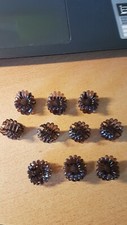 Haarkrebse haarklammern dklbra gebraucht kaufen  Lützelbach