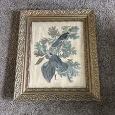 Vintage gold ornate for sale  Fallentimber