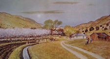 Peter hurd homestead for sale  Ahsahka